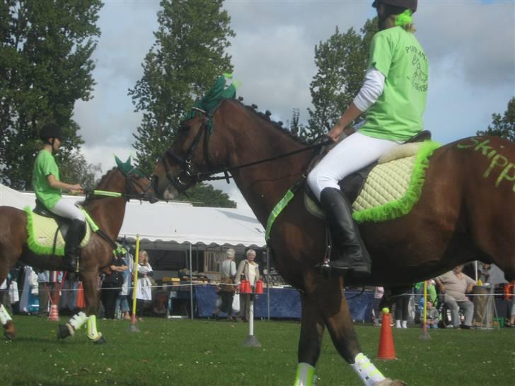 Gørlev Heste-og kræmmermarked :D billede 237