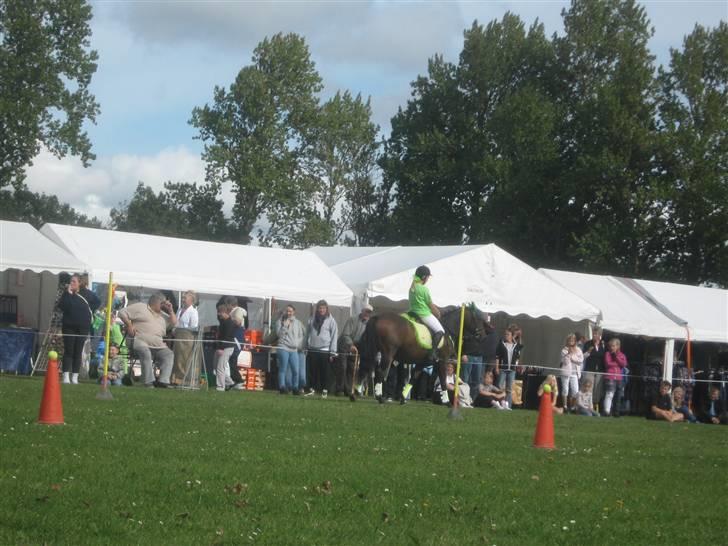 Gørlev Heste-og kræmmermarked :D billede 238