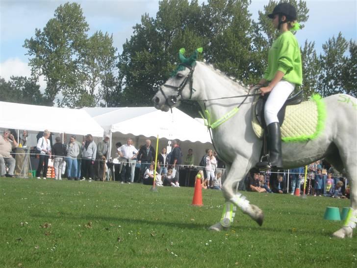 Gørlev Heste-og kræmmermarked :D billede 239