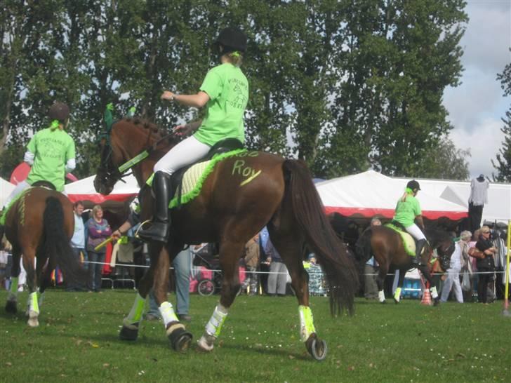 Gørlev Heste-og kræmmermarked :D billede 240