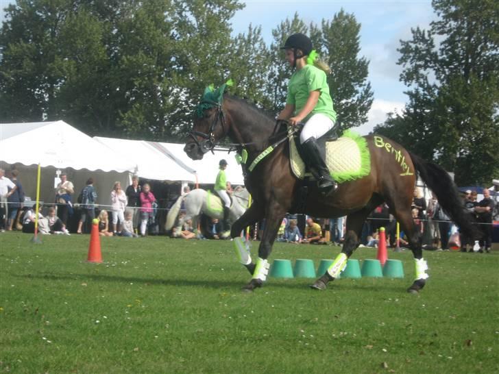 Gørlev Heste-og kræmmermarked :D billede 241