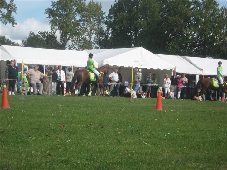 Gørlev Heste-og kræmmermarked :D billede 242