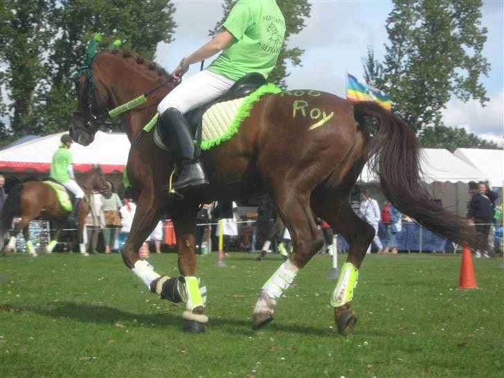 Gørlev Heste-og kræmmermarked :D billede 244