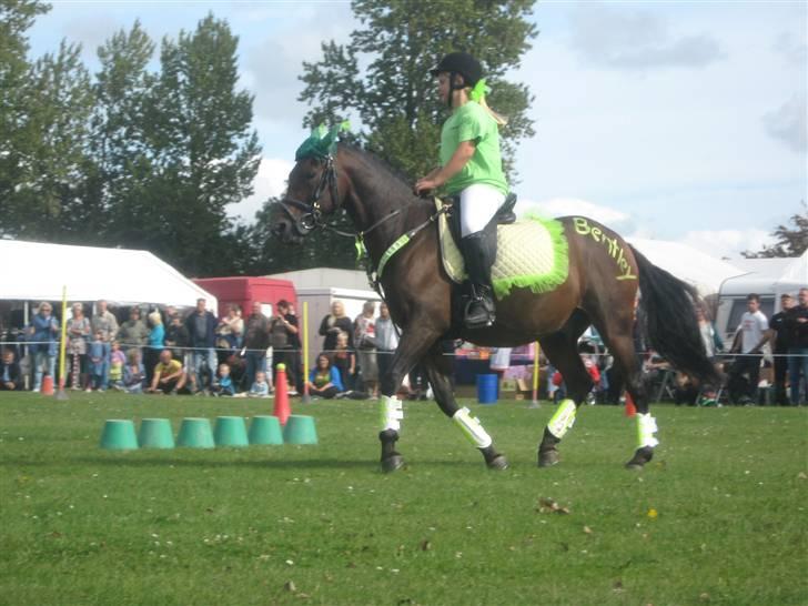 Gørlev Heste-og kræmmermarked :D billede 245