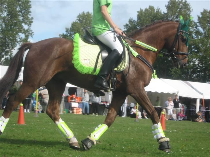 Gørlev Heste-og kræmmermarked :D billede 248