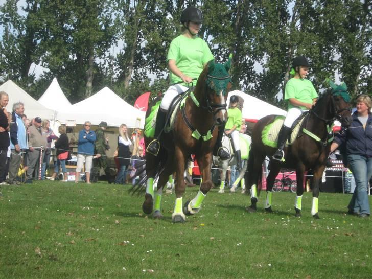 Gørlev Heste-og kræmmermarked :D billede 249