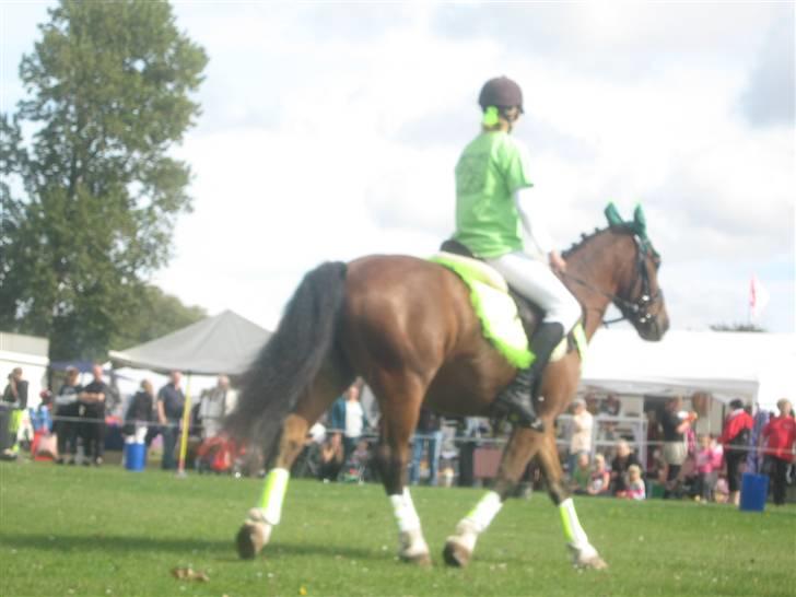 Gørlev Heste-og kræmmermarked :D billede 252