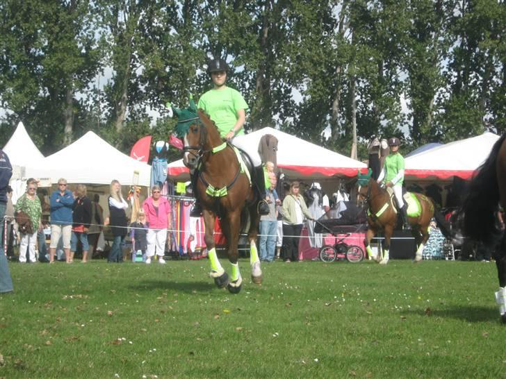 Gørlev Heste-og kræmmermarked :D billede 254