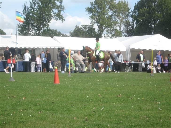 Gørlev Heste-og kræmmermarked :D billede 256