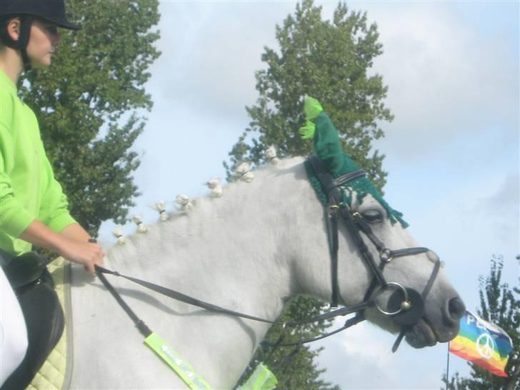 Gørlev Heste-og kræmmermarked :D billede 257