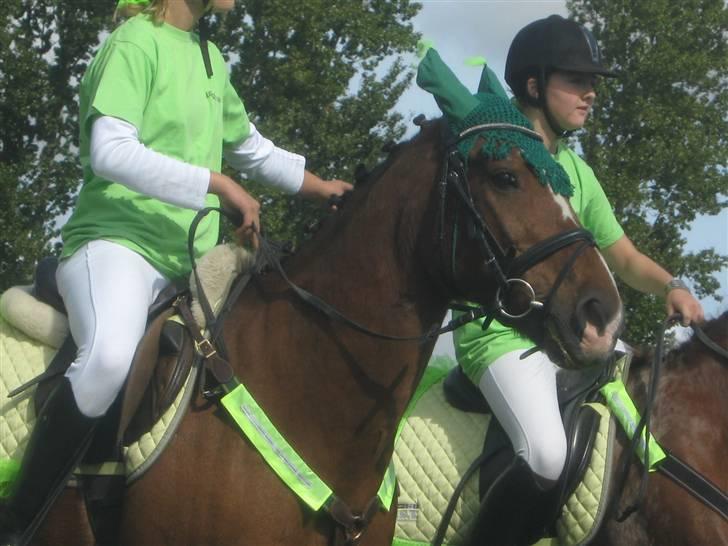 Gørlev Heste-og kræmmermarked :D billede 258