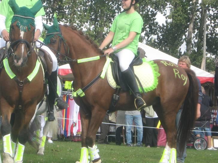 Gørlev Heste-og kræmmermarked :D billede 259