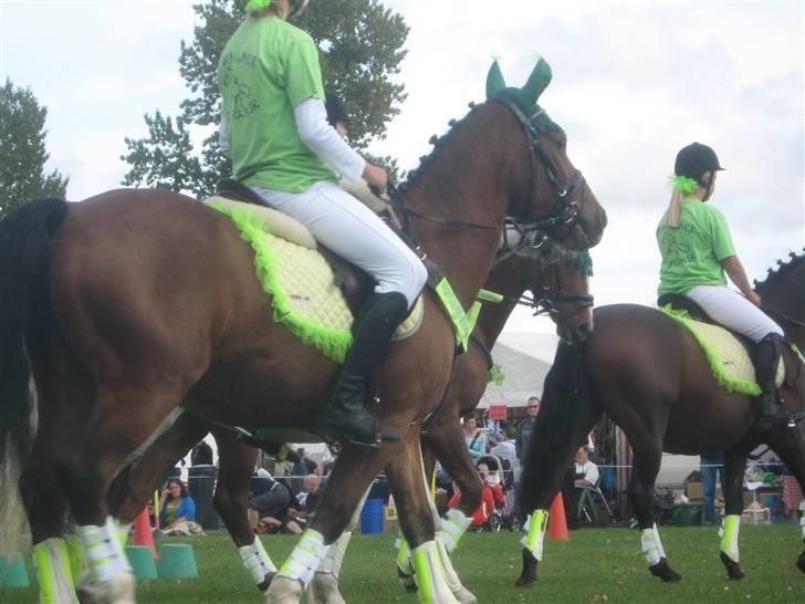 Gørlev Heste-og kræmmermarked :D billede 265