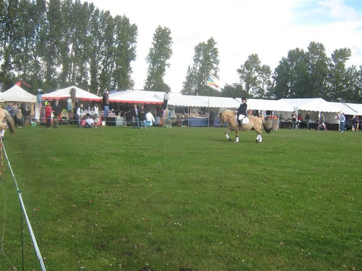 Gørlev Heste-og kræmmermarked :D billede 274