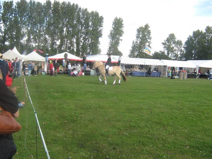 Gørlev Heste-og kræmmermarked :D billede 275