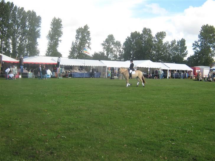 Gørlev Heste-og kræmmermarked :D billede 276