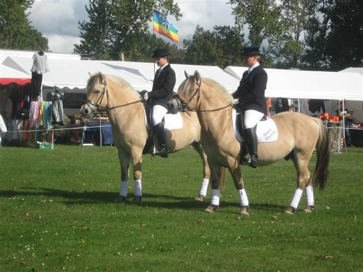 Gørlev Heste-og kræmmermarked :D billede 277