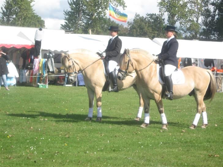 Gørlev Heste-og kræmmermarked :D billede 278