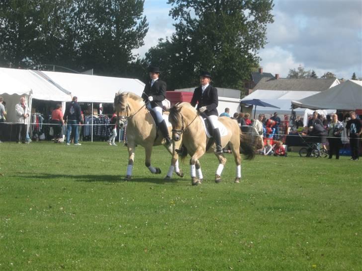 Gørlev Heste-og kræmmermarked :D billede 279