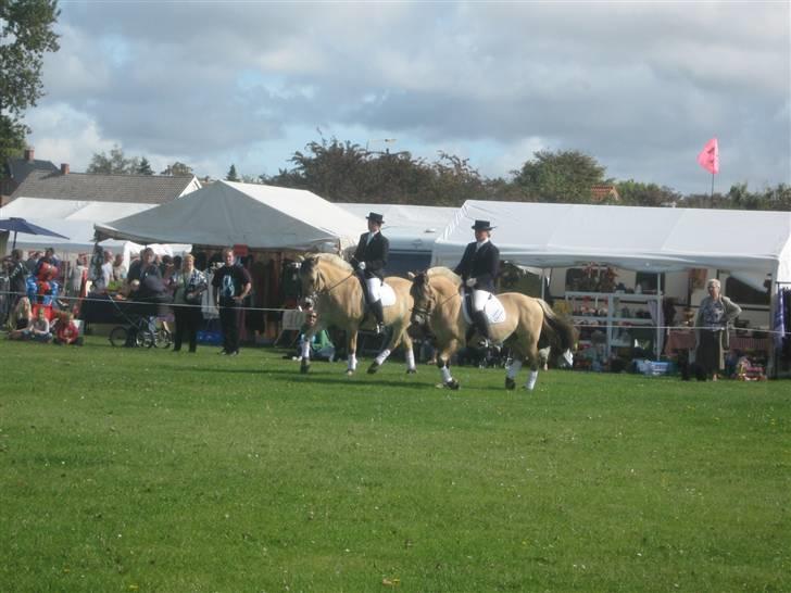 Gørlev Heste-og kræmmermarked :D billede 281