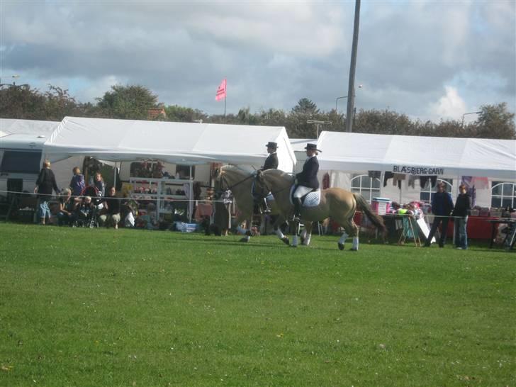 Gørlev Heste-og kræmmermarked :D billede 282