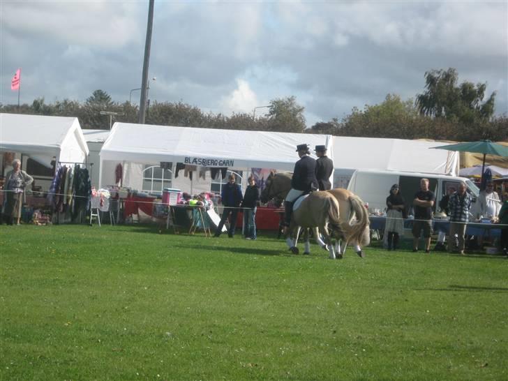 Gørlev Heste-og kræmmermarked :D billede 283