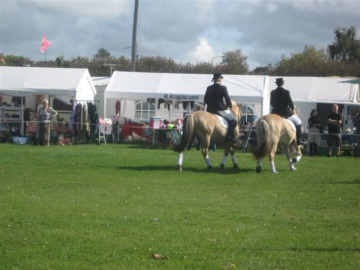 Gørlev Heste-og kræmmermarked :D billede 284