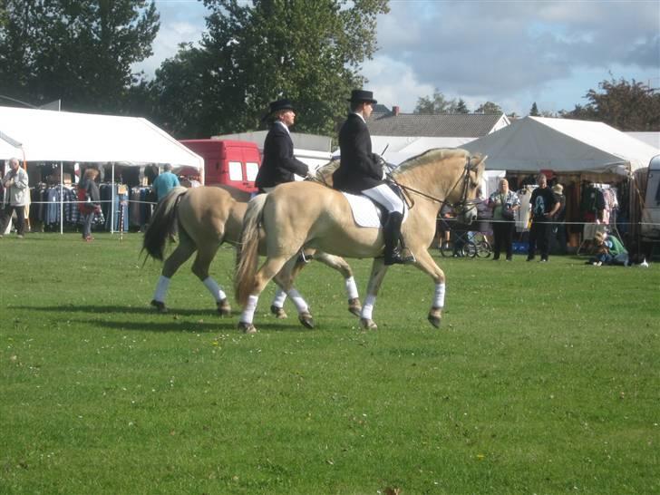 Gørlev Heste-og kræmmermarked :D billede 285