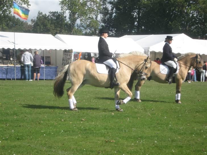 Gørlev Heste-og kræmmermarked :D billede 286