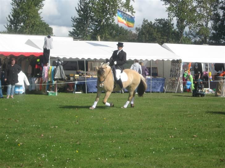 Gørlev Heste-og kræmmermarked :D billede 287