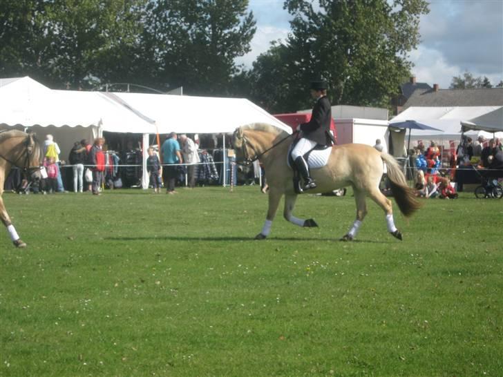 Gørlev Heste-og kræmmermarked :D billede 288