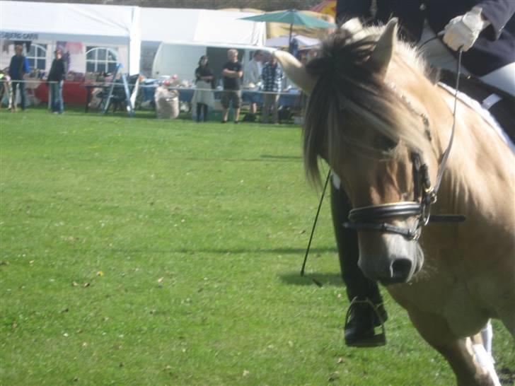 Gørlev Heste-og kræmmermarked :D billede 290