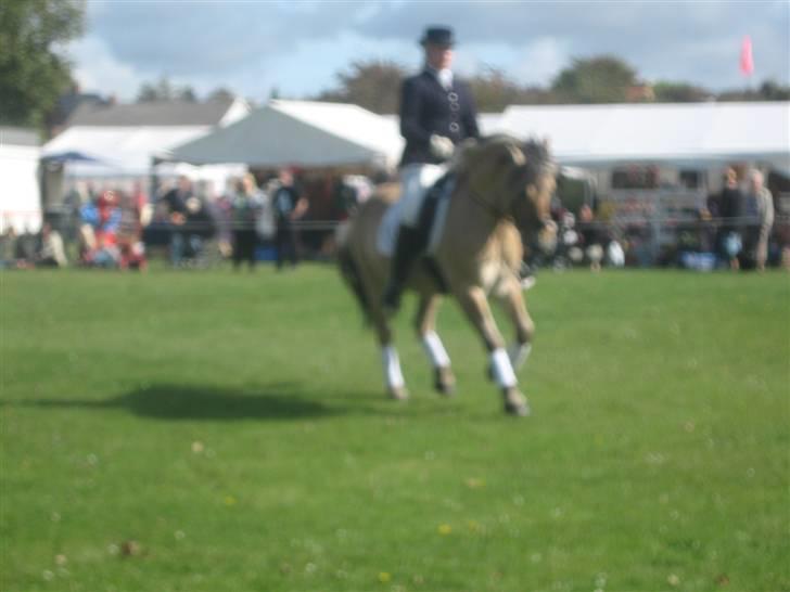 Gørlev Heste-og kræmmermarked :D billede 291