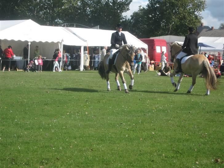 Gørlev Heste-og kræmmermarked :D billede 292