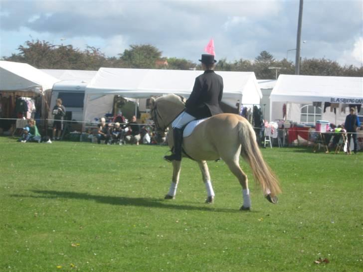 Gørlev Heste-og kræmmermarked :D billede 293