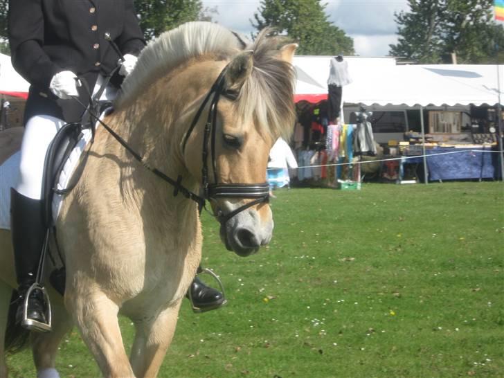 Gørlev Heste-og kræmmermarked :D billede 294