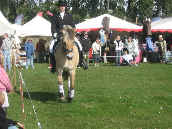 Gørlev Heste-og kræmmermarked :D billede 295