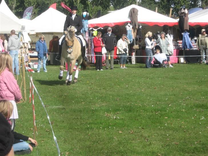 Gørlev Heste-og kræmmermarked :D billede 296