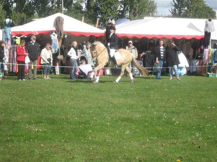 Gørlev Heste-og kræmmermarked :D billede 297