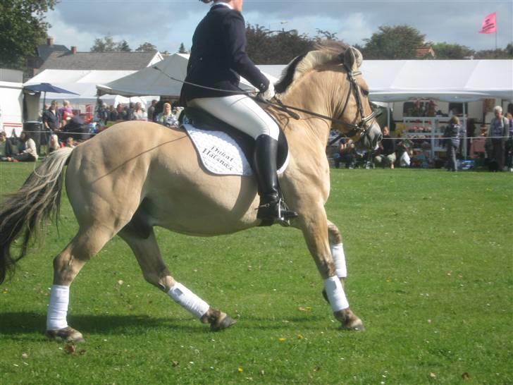 Gørlev Heste-og kræmmermarked :D billede 298