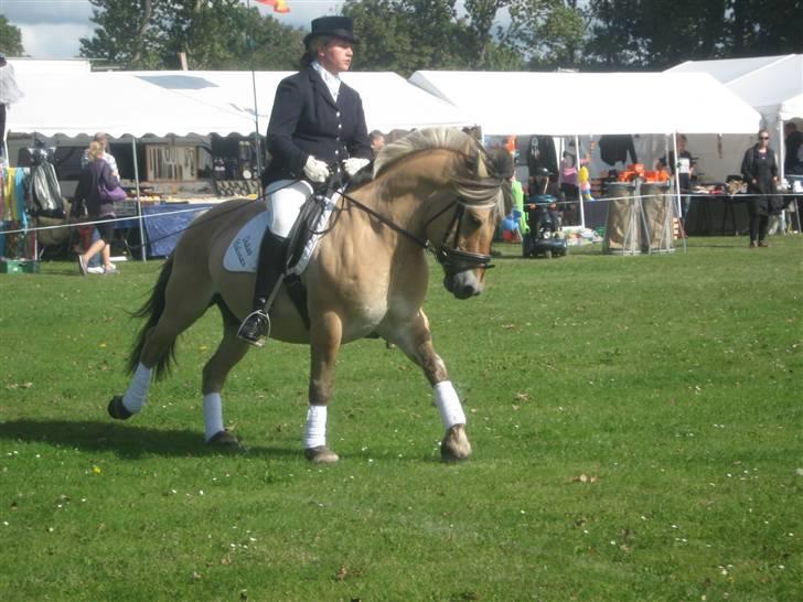 Gørlev Heste-og kræmmermarked :D billede 299