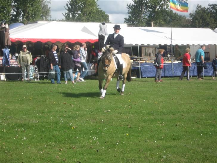 Gørlev Heste-og kræmmermarked :D billede 300