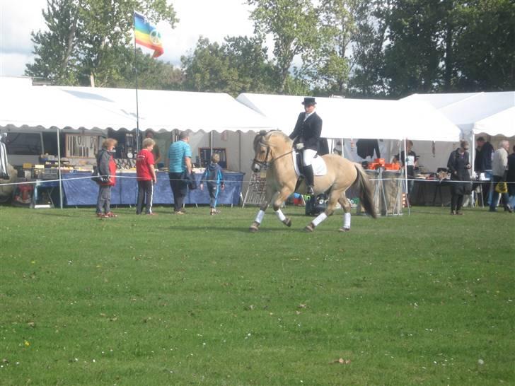 Gørlev Heste-og kræmmermarked :D billede 301