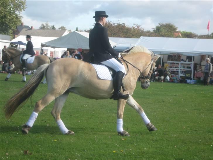 Gørlev Heste-og kræmmermarked :D billede 302