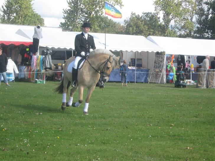 Gørlev Heste-og kræmmermarked :D billede 303