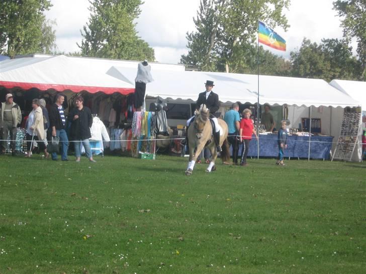 Gørlev Heste-og kræmmermarked :D billede 304