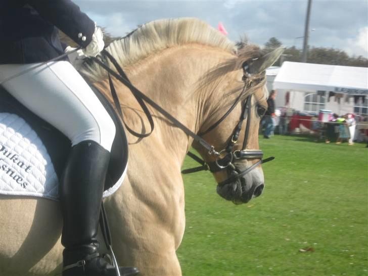 Gørlev Heste-og kræmmermarked :D billede 305