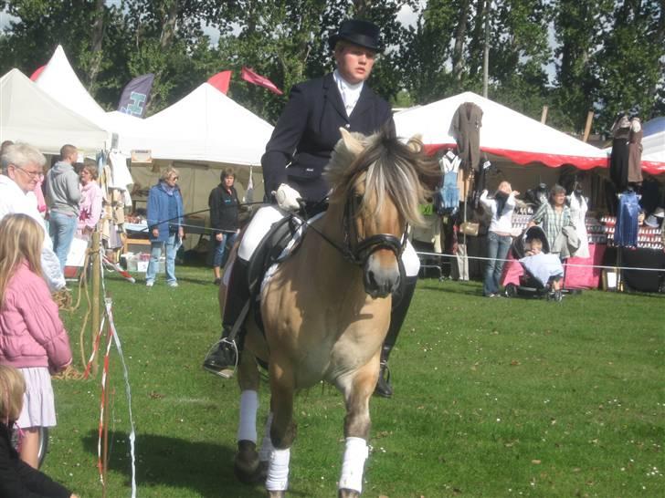 Gørlev Heste-og kræmmermarked :D billede 306