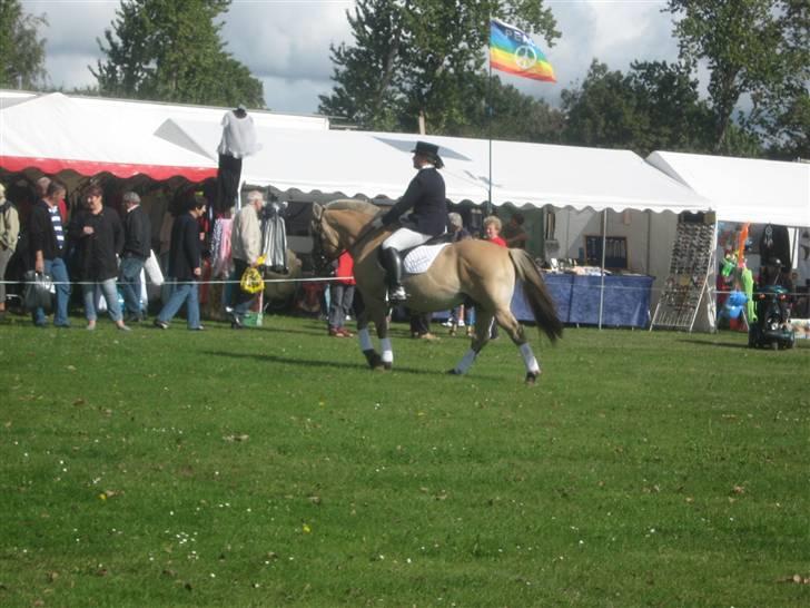 Gørlev Heste-og kræmmermarked :D billede 308