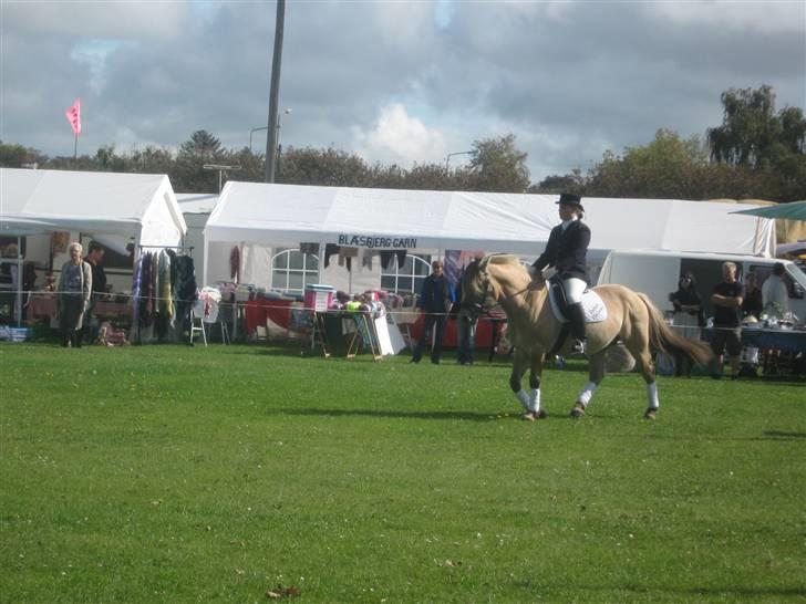 Gørlev Heste-og kræmmermarked :D billede 309